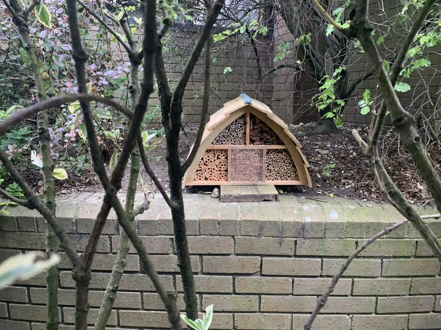 A bug-tiful new addition to our office garden